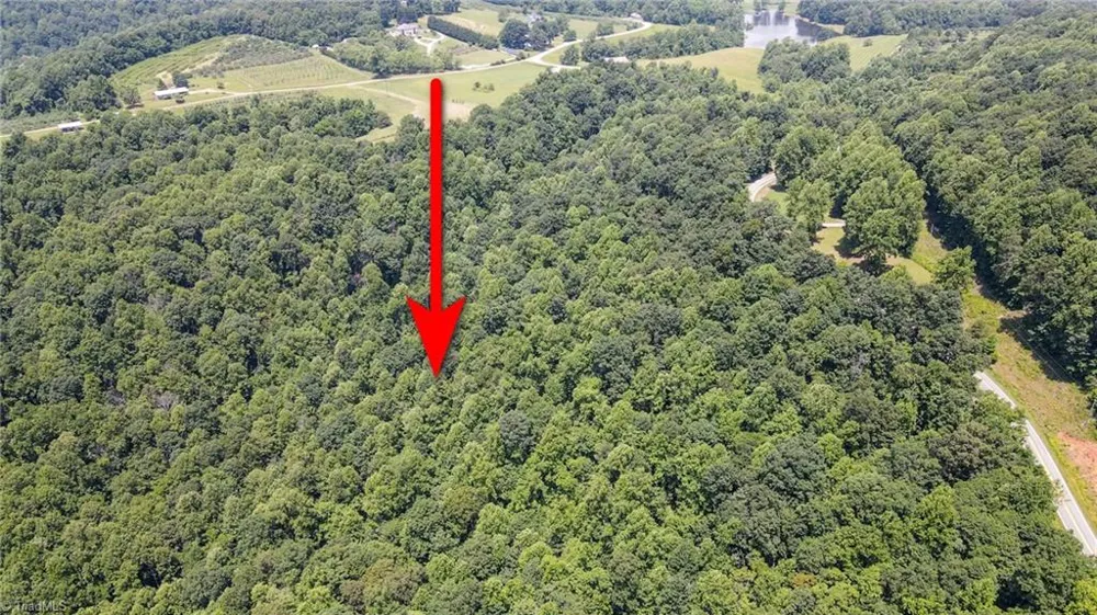 00 Hendren Road Moravian Falls, NC 28654