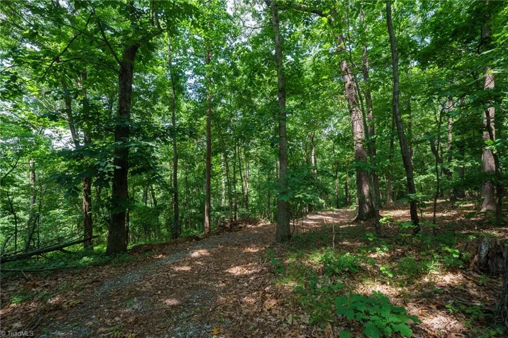 00 Hendren Road Moravian Falls, NC 28654
