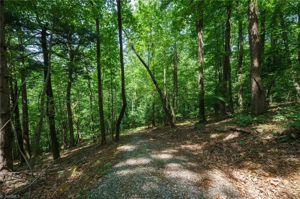 00 Hendren Road Moravian Falls, NC 28654