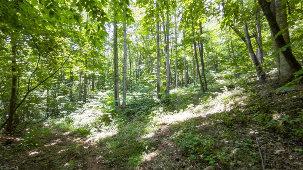 00 Hendren Road Moravian Falls, NC 28654