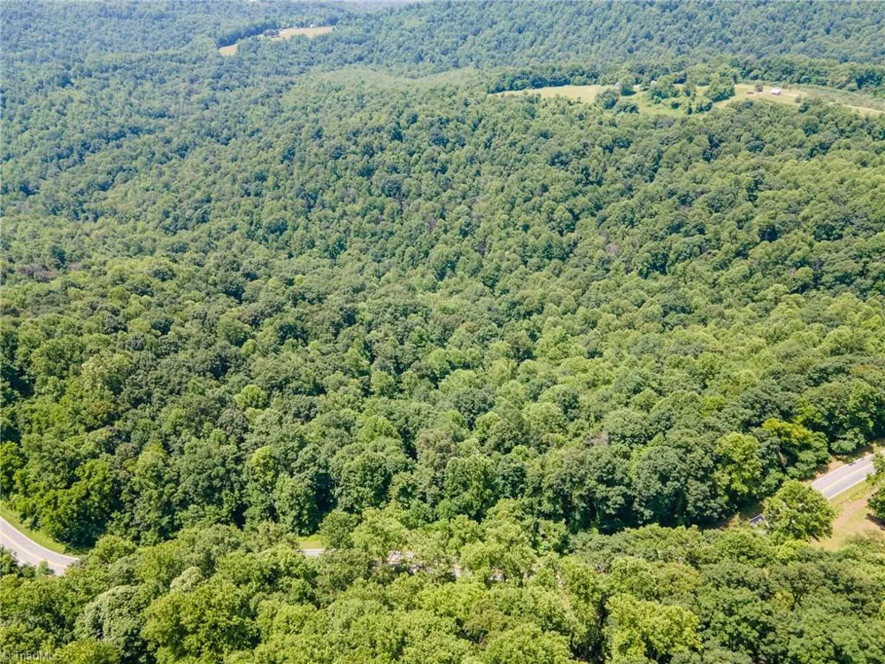 00 Hendren Road Moravian Falls, NC 28654