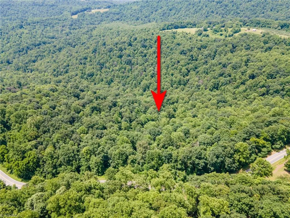 00 Hendren Road Moravian Falls, NC 28654
