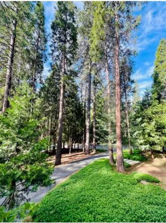 27165 Barton Road Pioneer, CA 95666