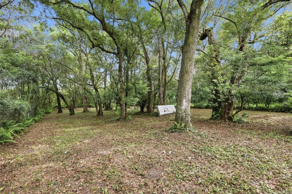 320 W GRAVES AVENUE Orange City, FL 32763