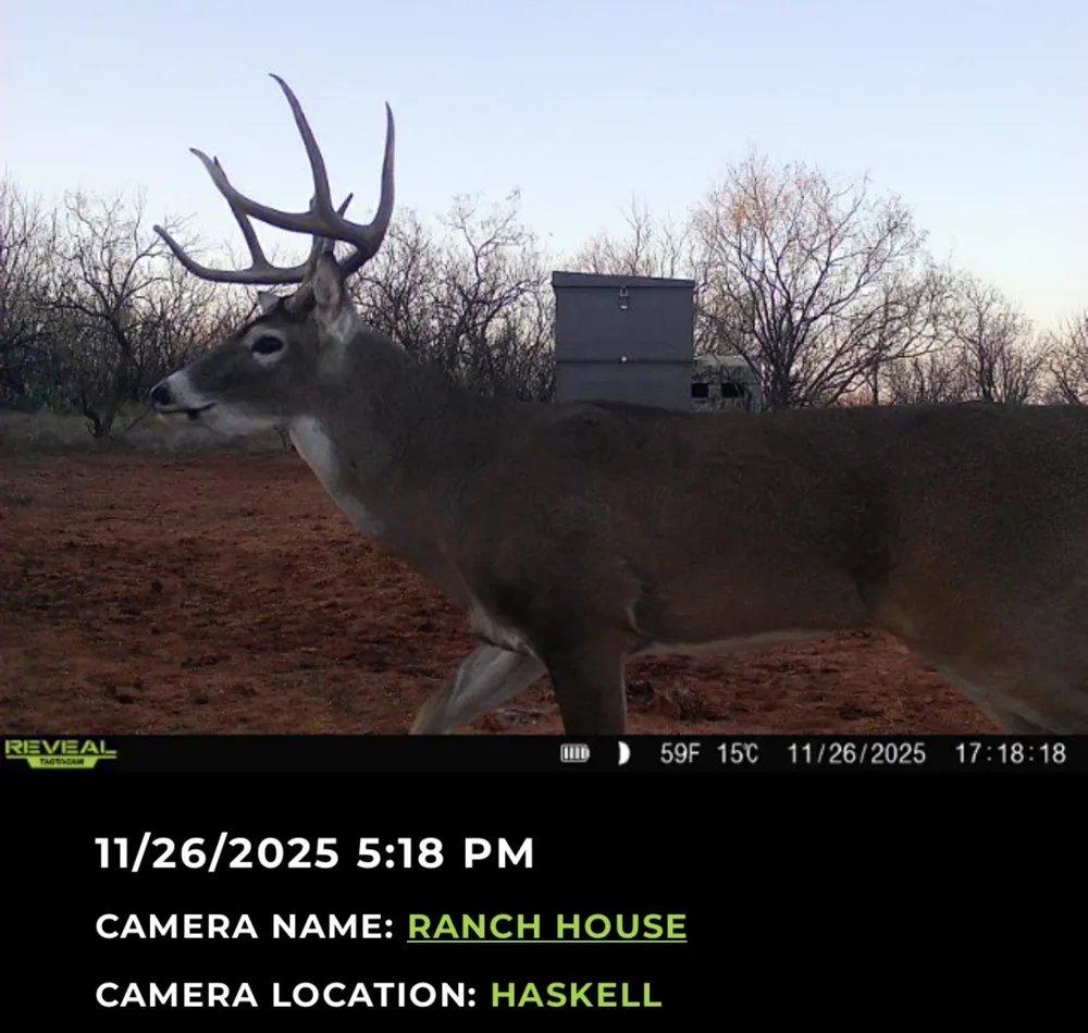 2607 US 380 East Haskell, TX 79521