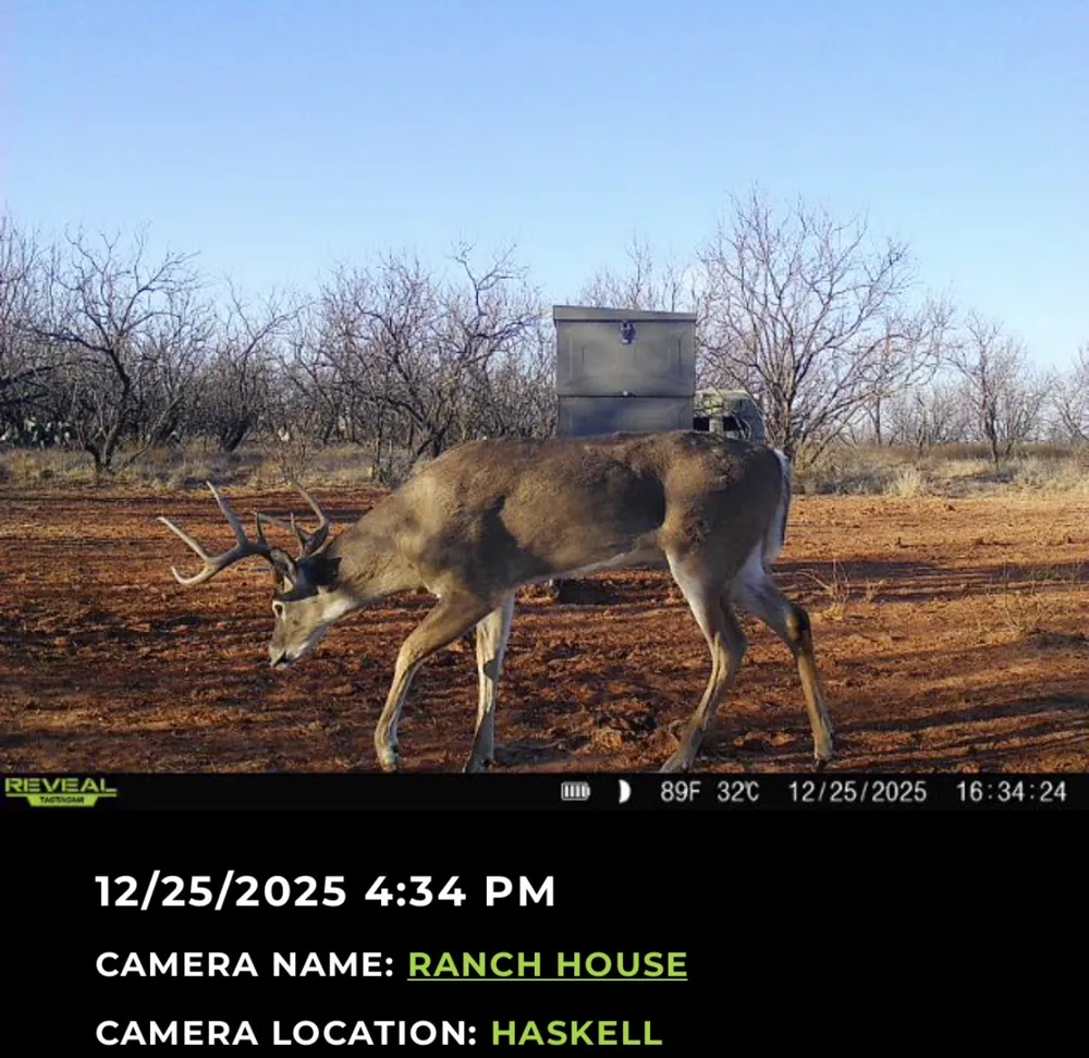 2607 US 380 East Haskell, TX 79521