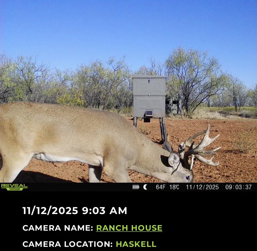 2607 US 380 East Haskell, TX 79521