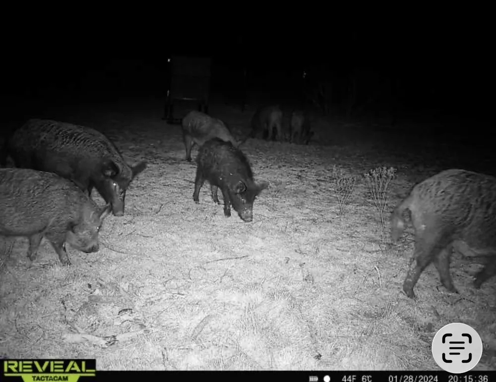 2607 US 380 East Haskell, TX 79521