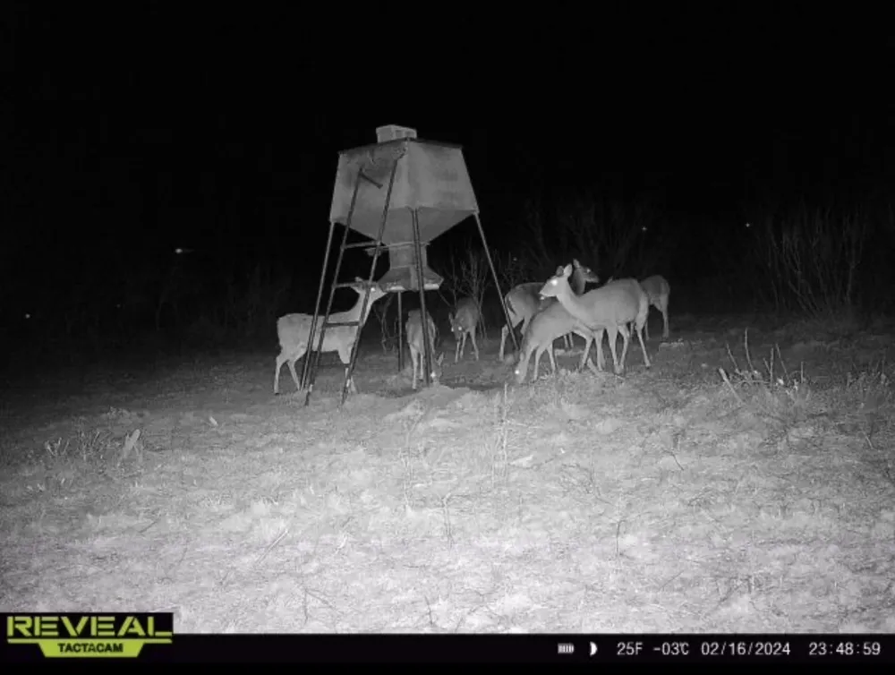 2607 US 380 East Haskell, TX 79521