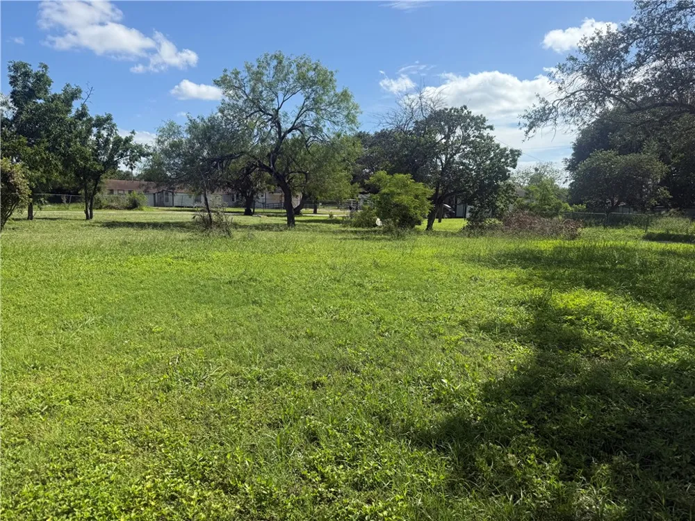 1700 S Cameron Street Alice, TX 78332