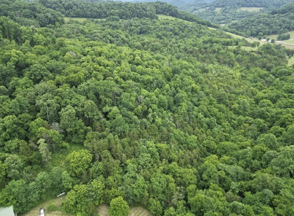 98 Hackett Valley Rd Hickman, TN 38567