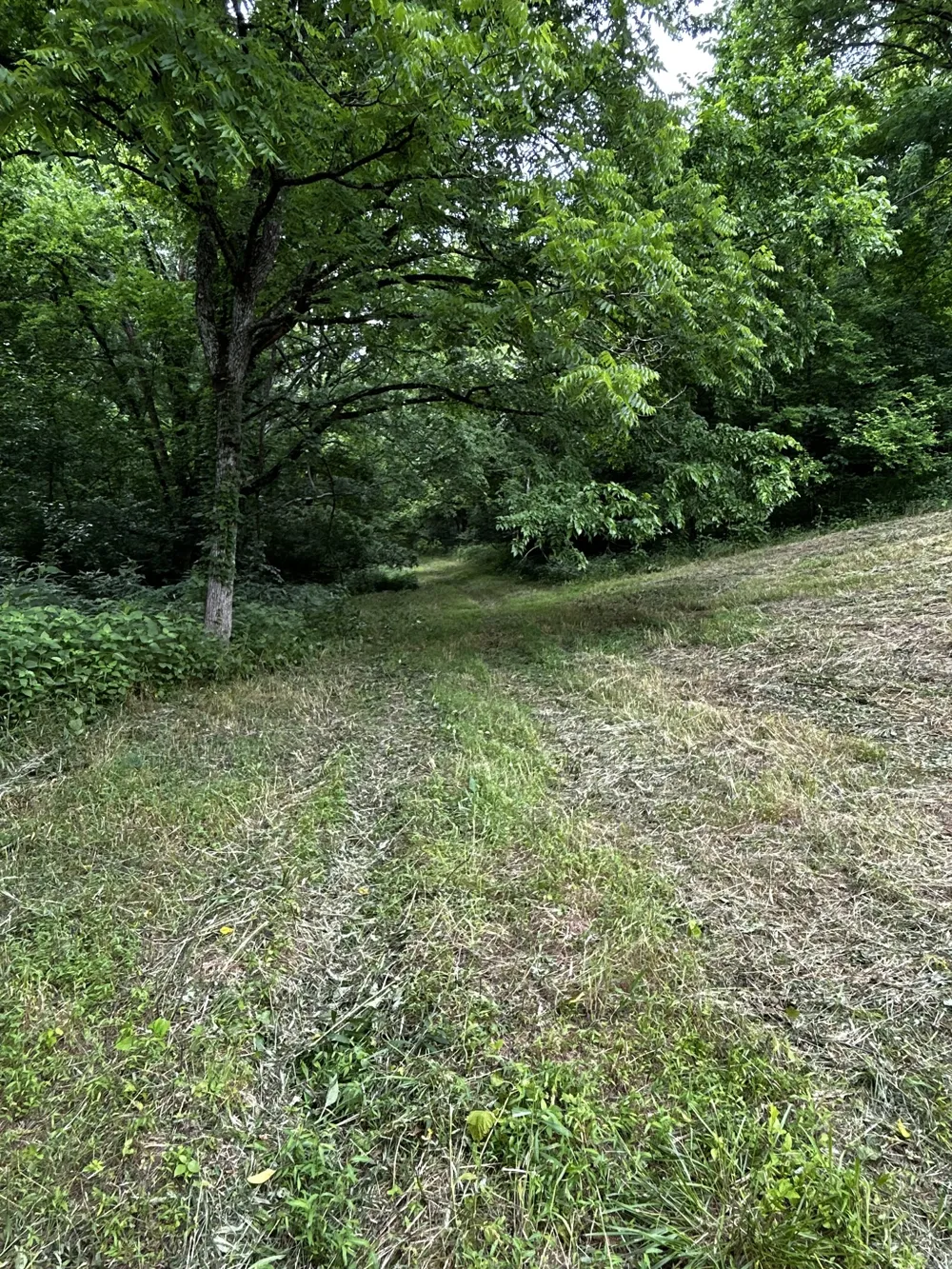 98 Hackett Valley Rd Hickman, TN 38567