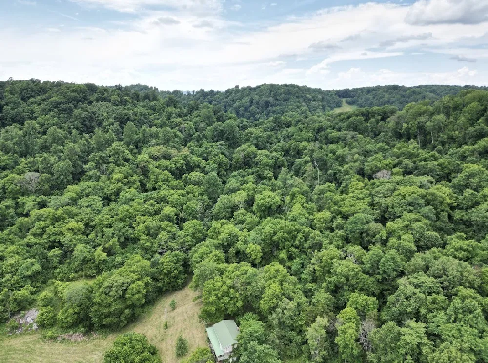 98 Hackett Valley Rd Hickman, TN 38567