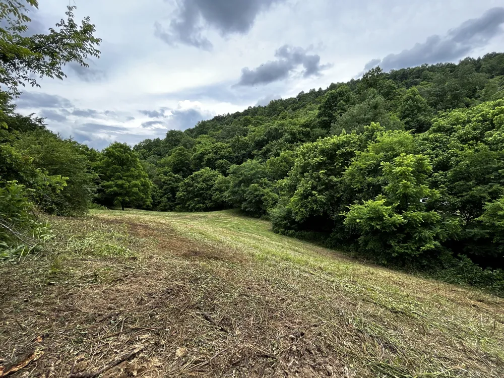 98 Hackett Valley Rd Hickman, TN 38567