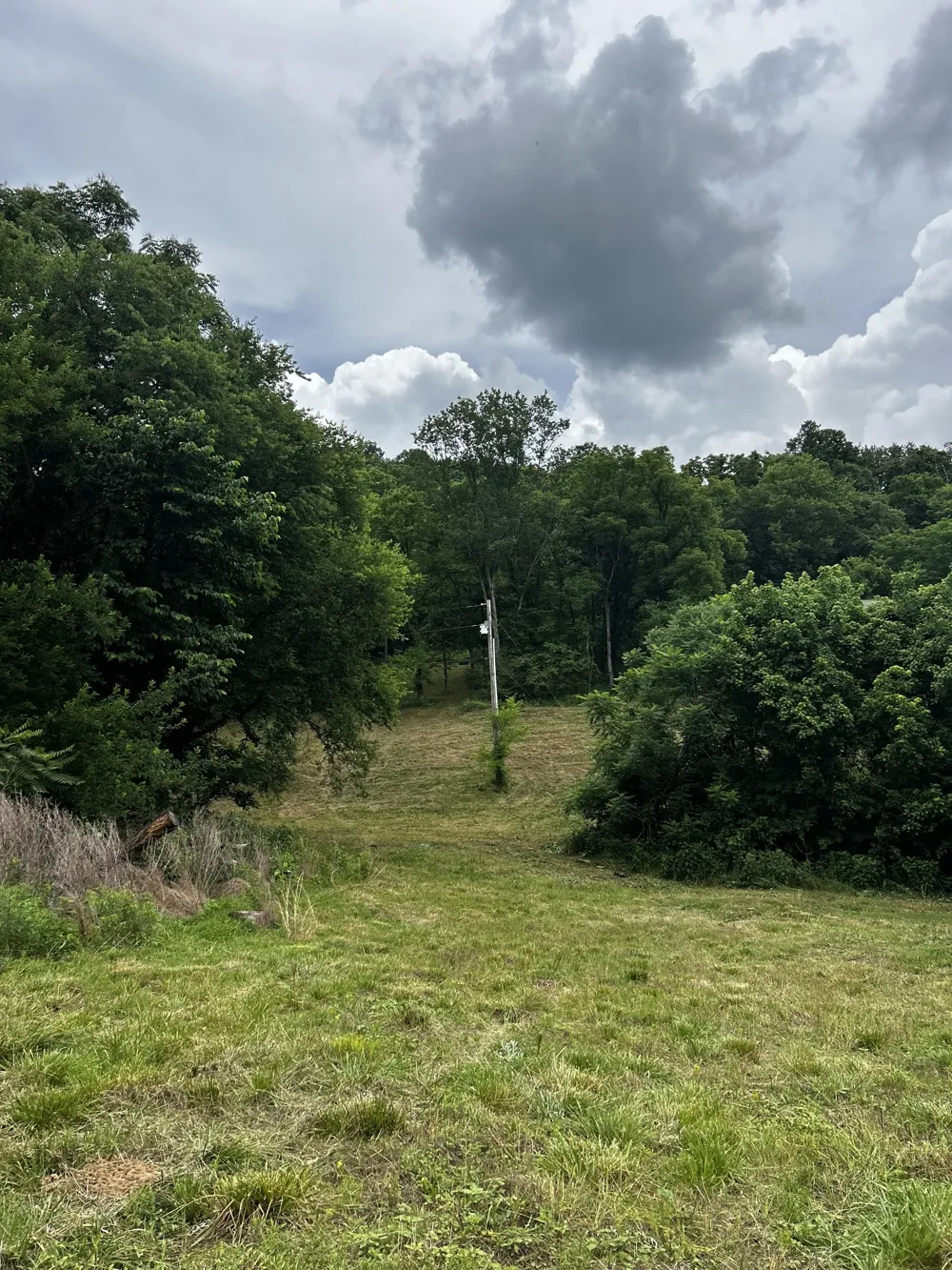 98 Hackett Valley Rd Hickman, TN 38567