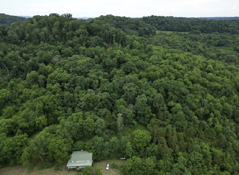 98 Hackett Valley Rd Hickman, TN 38567