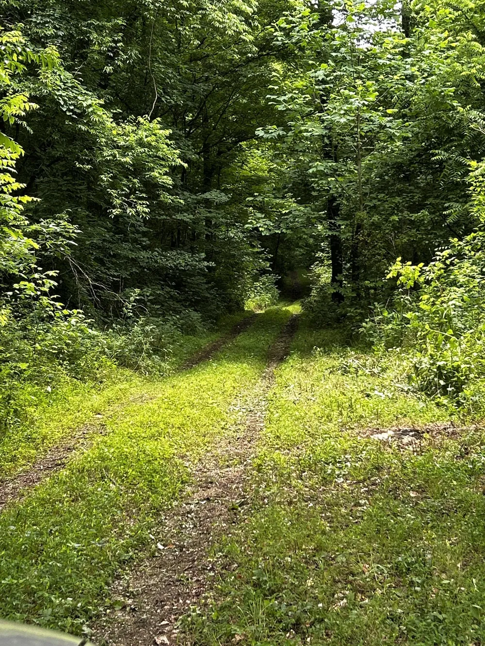 98 Hackett Valley Rd Hickman, TN 38567