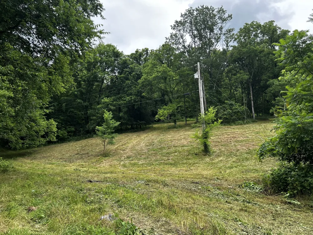 98 Hackett Valley Rd Hickman, TN 38567