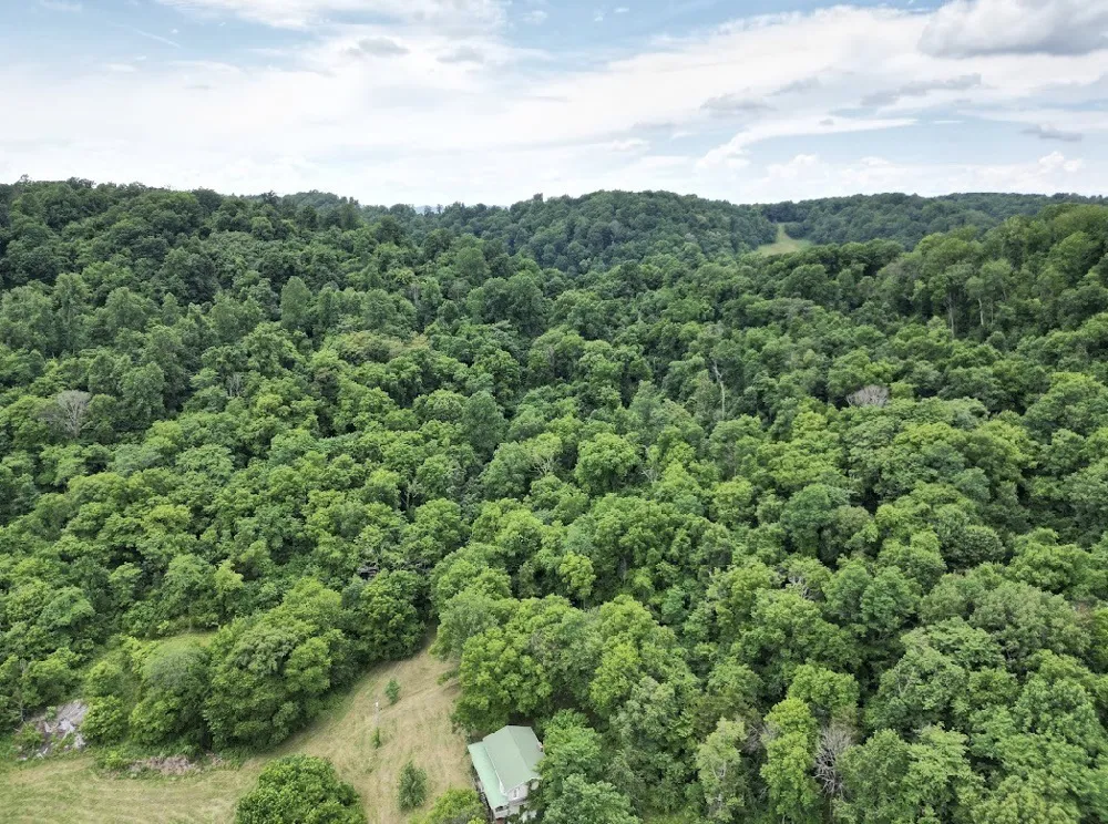 98 Hackett Valley Rd Hickman, TN 38567