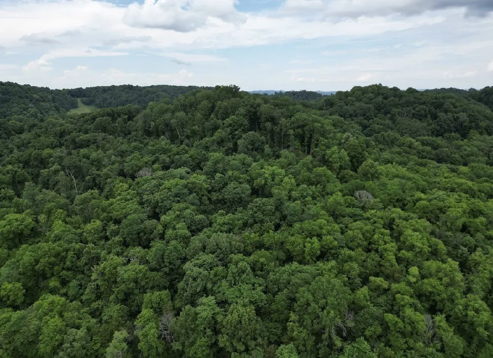 98 Hackett Valley Rd Hickman, TN 38567