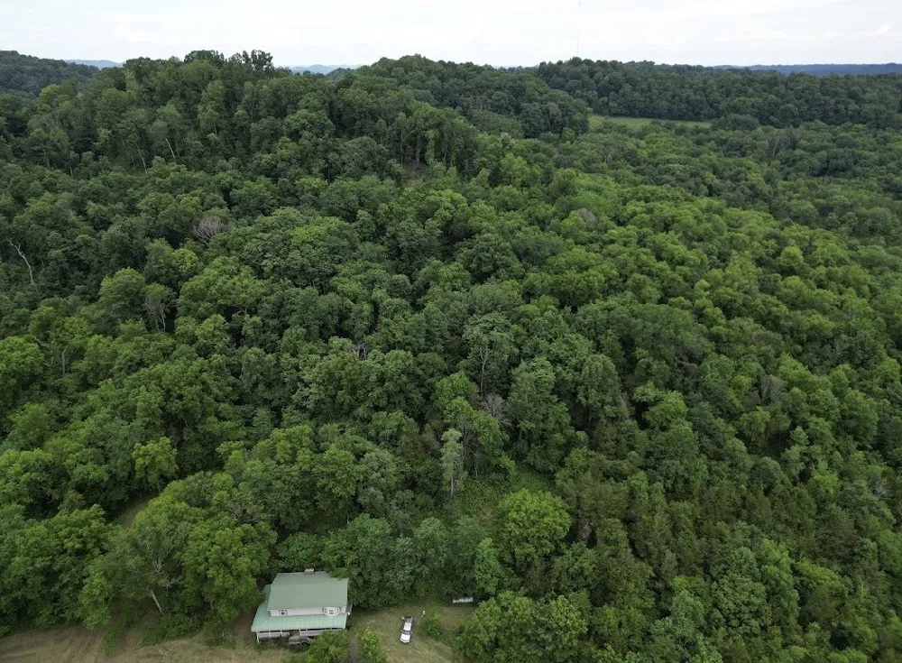 98 Hackett Valley Rd Hickman, TN 38567