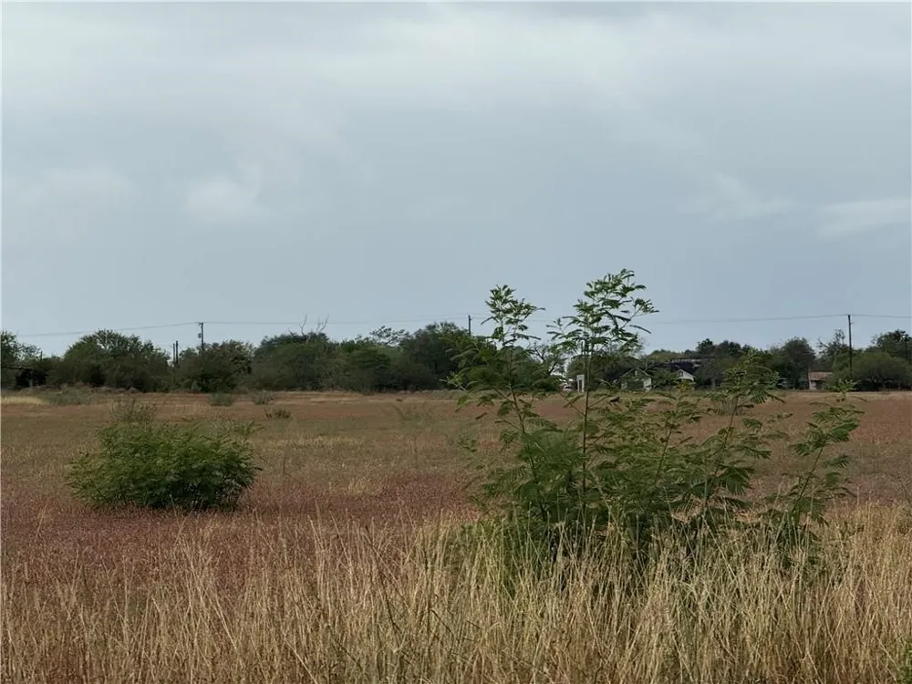 2 French Street Alice, TX 78332