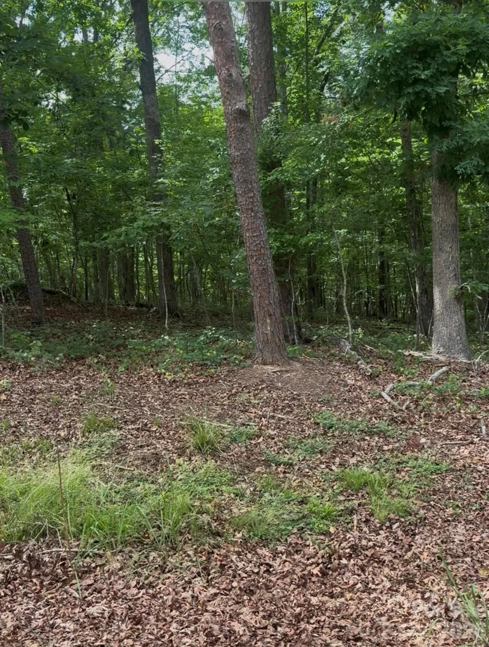 00 Oak Road Norwood, NC 28128