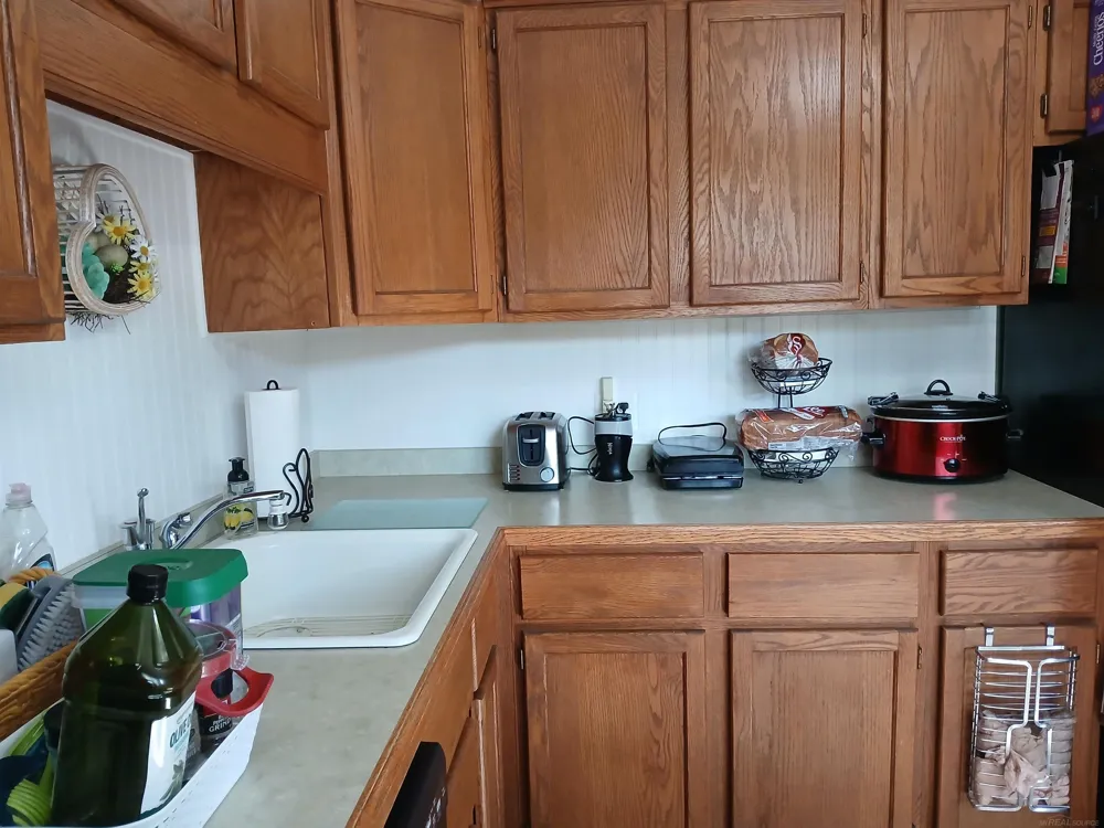 29130 Tessmer Court Madison Heights City, MI 48071