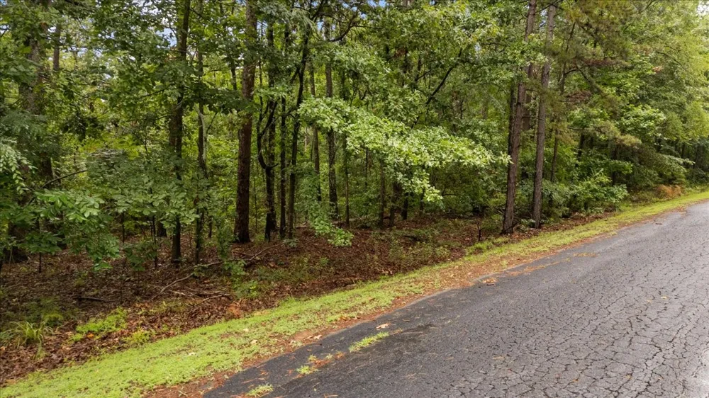 Canadian Drive Scroggins, TX 75480