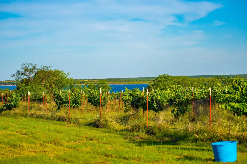 15051 Lake Ivie Drive Millersview, TX 76862