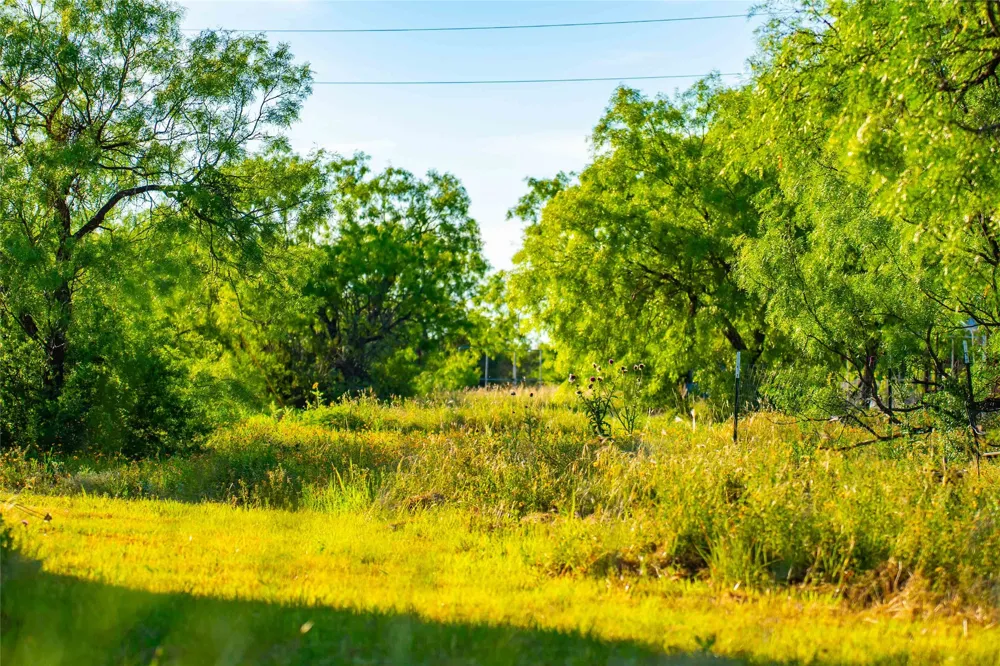 15051 Lake Ivie Drive Millersview, TX 76862