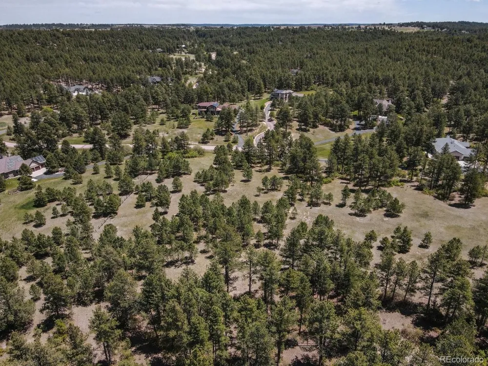 25 Big Meadow Trail Franktown, CO 80116