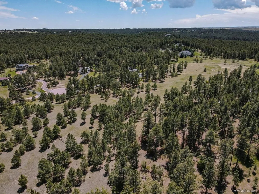 25 Big Meadow Trail Franktown, CO 80116