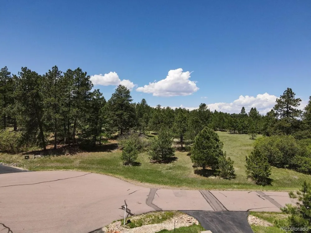 25 Big Meadow Trail Franktown, CO 80116