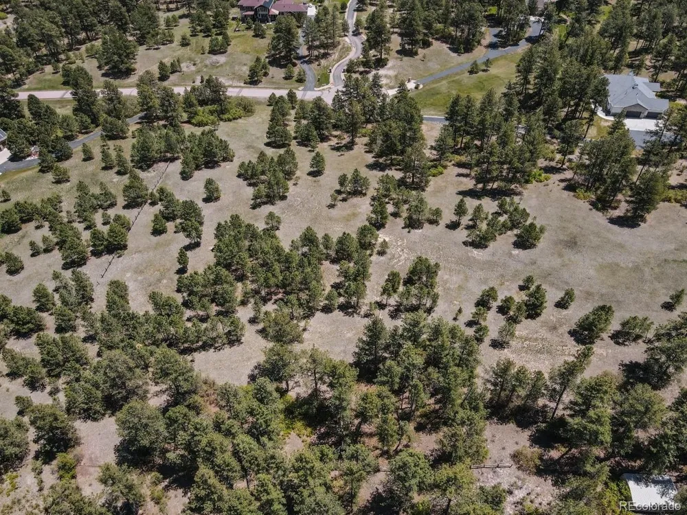 25 Big Meadow Trail Franktown, CO 80116