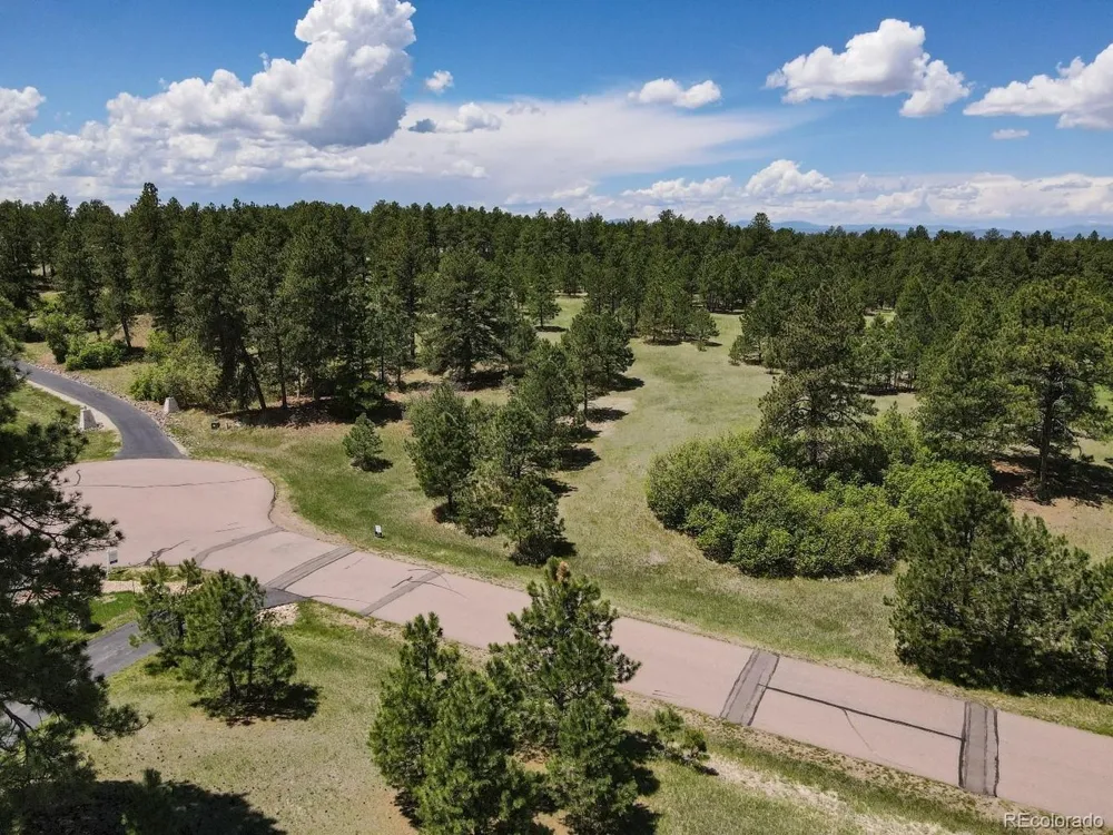 25 Big Meadow Trail Franktown, CO 80116