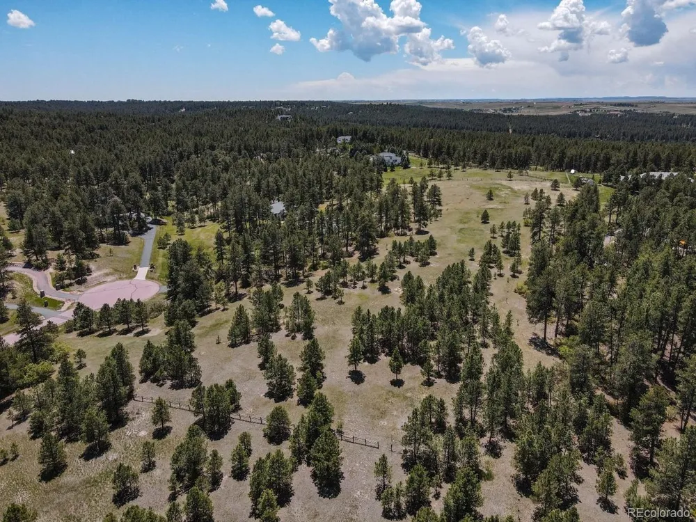 25 Big Meadow Trail Franktown, CO 80116