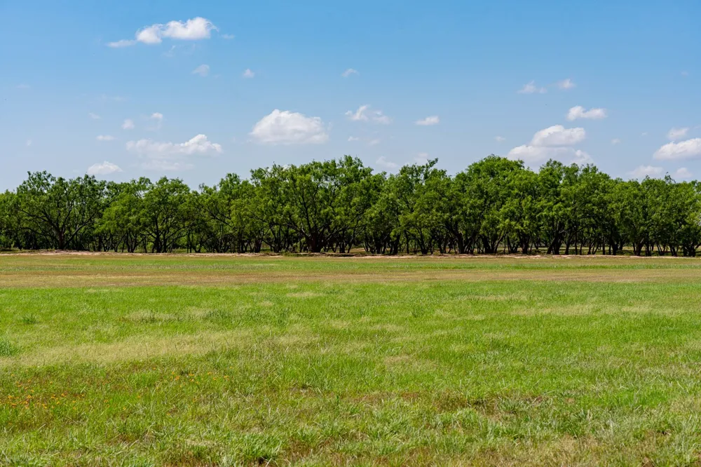 4946 County Road 410 Hawley, TX 79525