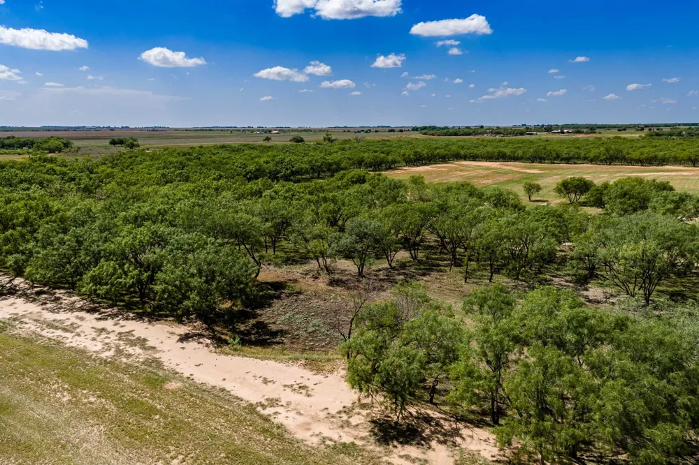 4946 County Road 410 Hawley, TX 79525