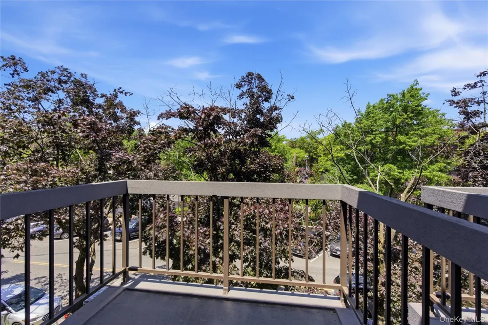 16306 71st Avenue #1323 Fresh Meadows, NY 11365