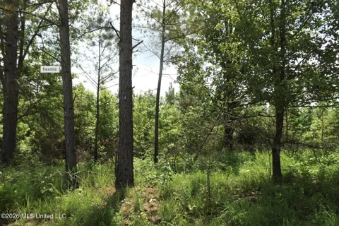 Randletown Road