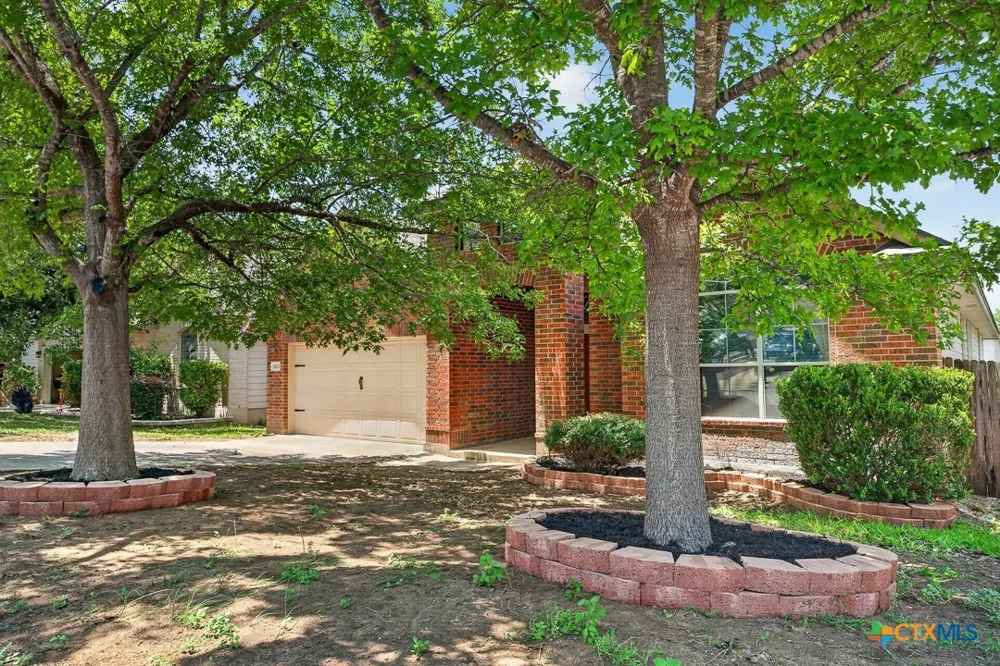 11631 Lemonmint Parkway San Antonio, TX 78245