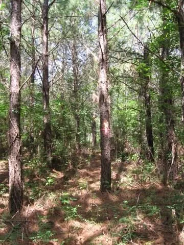 1 Pelican Road
