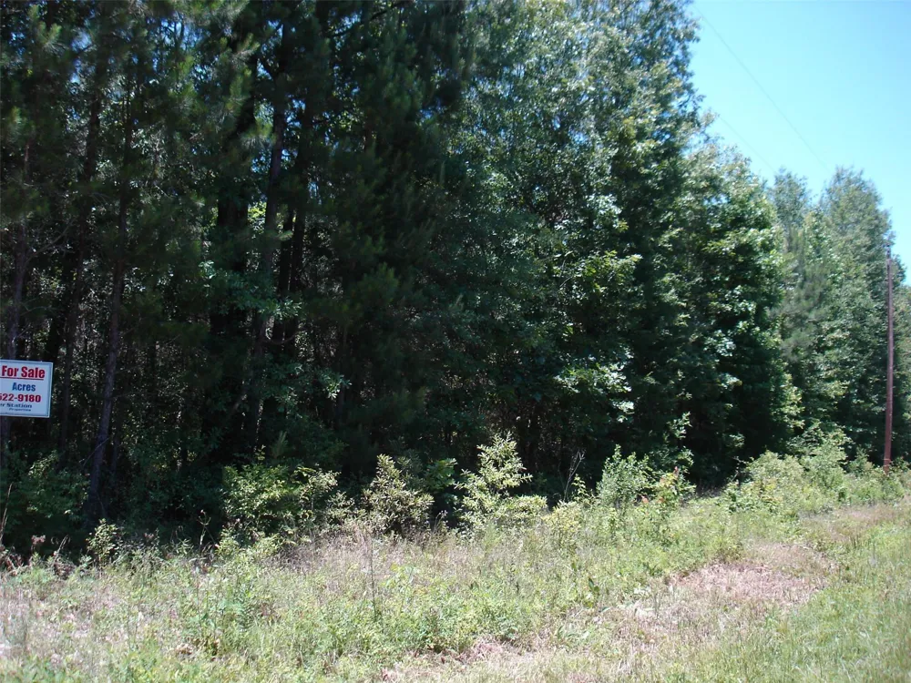 1 Pelican Road Shepherd, TX 77371