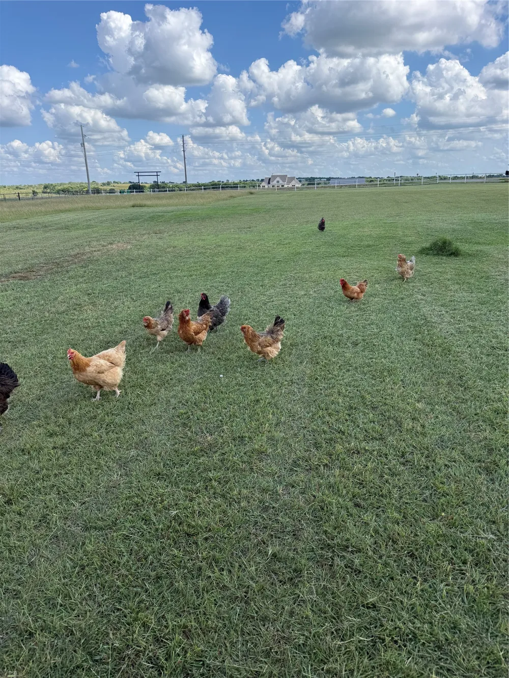 12102 Cedar Rock Parkway Crawford, TX 76638