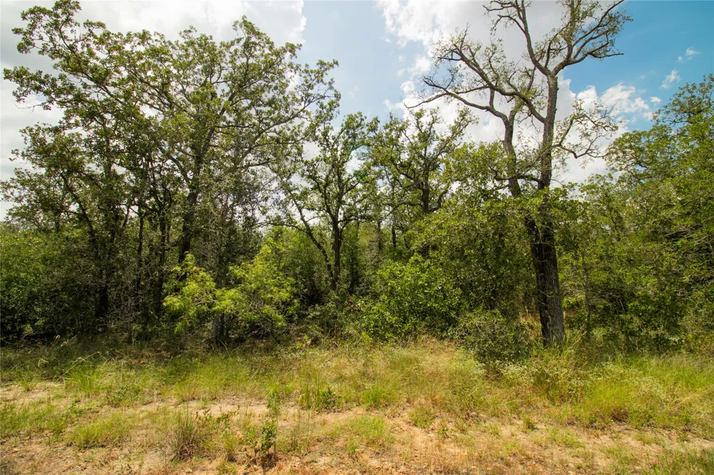 9057 Sycamore Shade Lane Kingsbury, TX 78155
