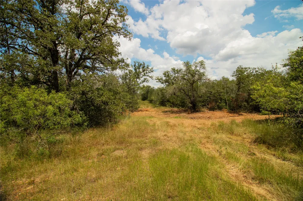 9057 Sycamore Shade Lane Kingsbury, TX 78155