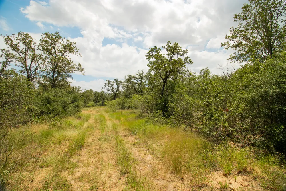 9057 Sycamore Shade Lane Kingsbury, TX 78155