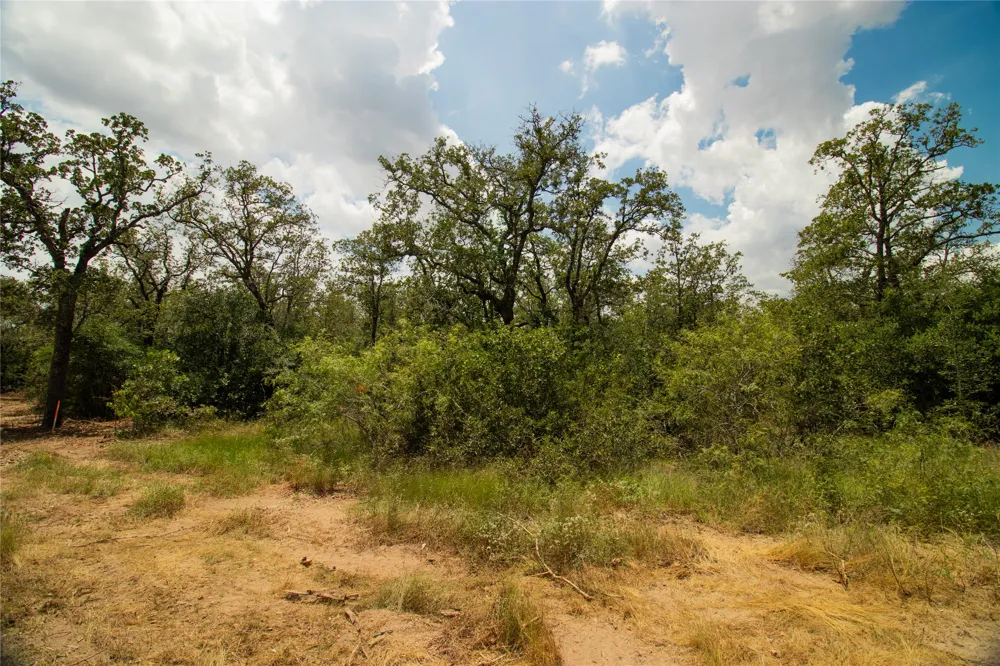 9057 Sycamore Shade Lane Kingsbury, TX 78155