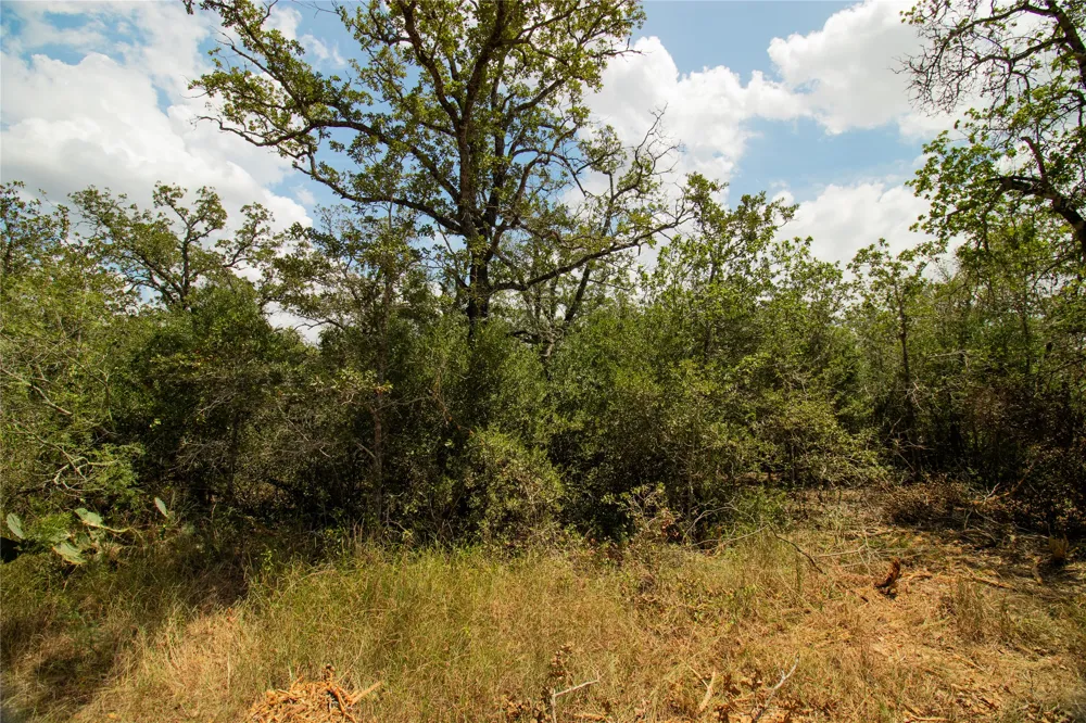 9057 Sycamore Shade Lane Kingsbury, TX 78155